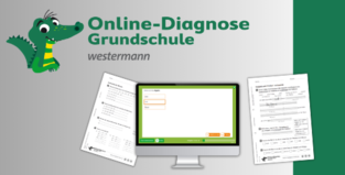 Online-Diagnose 2-4