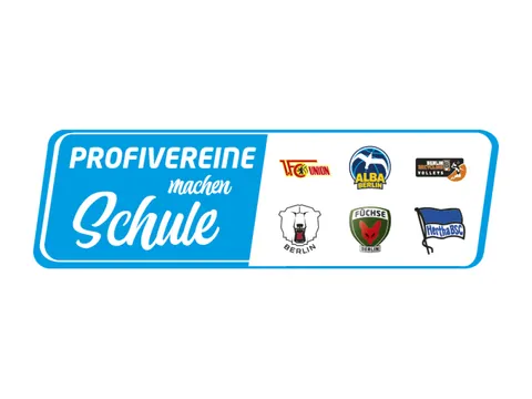 Logo von Profiverein machen Schule